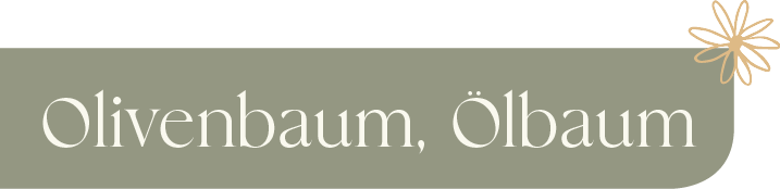 button_oliven-baum_